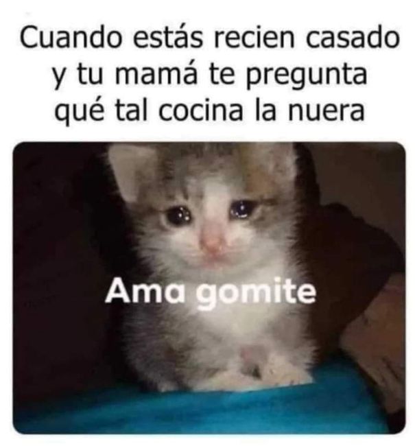 ¡A sonreír es miércoles!🤣 - 7