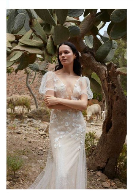 Vestidos colección 2023 Anna Kara - 17