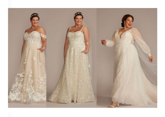 Vestidos colección otoño - invierno 2022 David's Bridal - 8