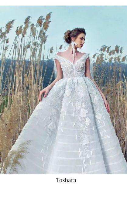 Vestidos colección otoño-invierno 2022 Kristie Romanos - 4