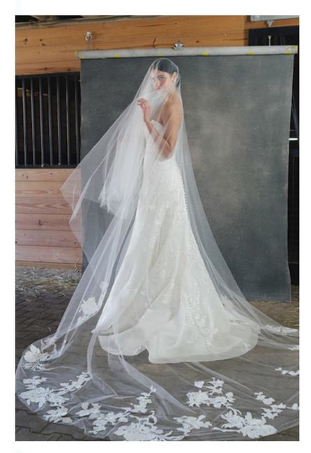 Vestidos colección otoño-invierno 2023 Anne Barge - 2