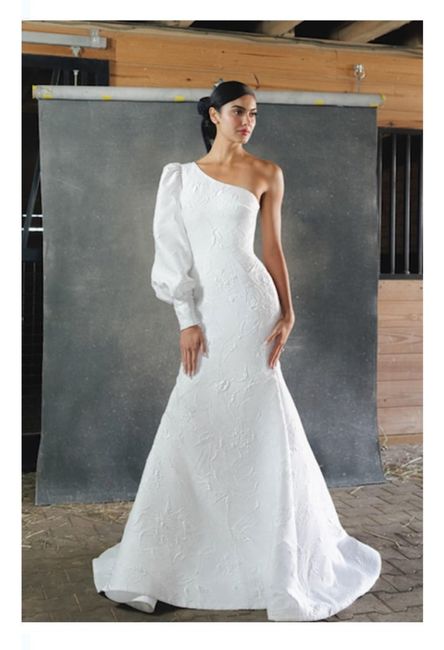 Vestidos colección otoño-invierno 2023 Anne Barge - 8