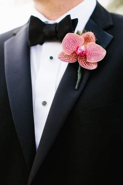 Boutonniere con orquídeas - 3