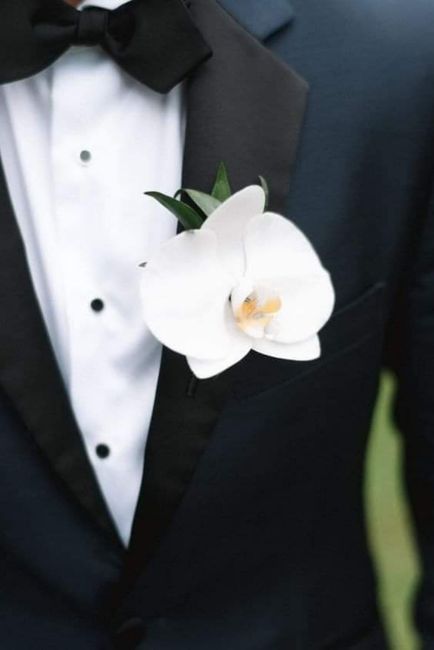 Boutonniere con orquídeas - 4