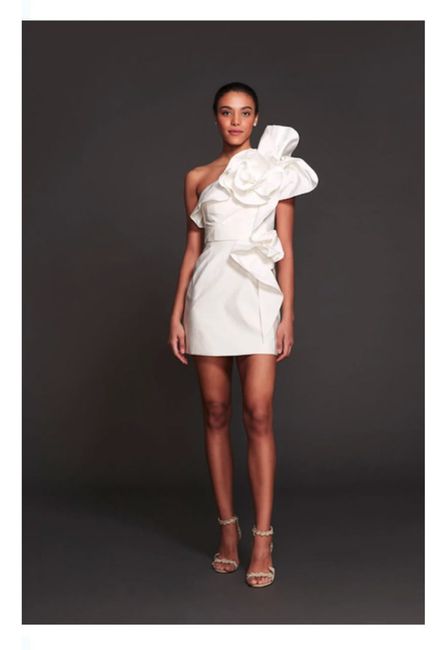 Vestidos colección otoño-invierno 2023 Marchesa 7