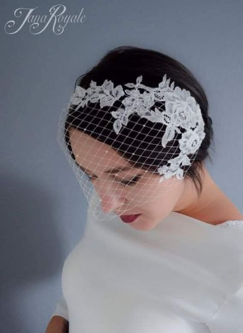 Enamórate de estos velos jaula o birdcage 3