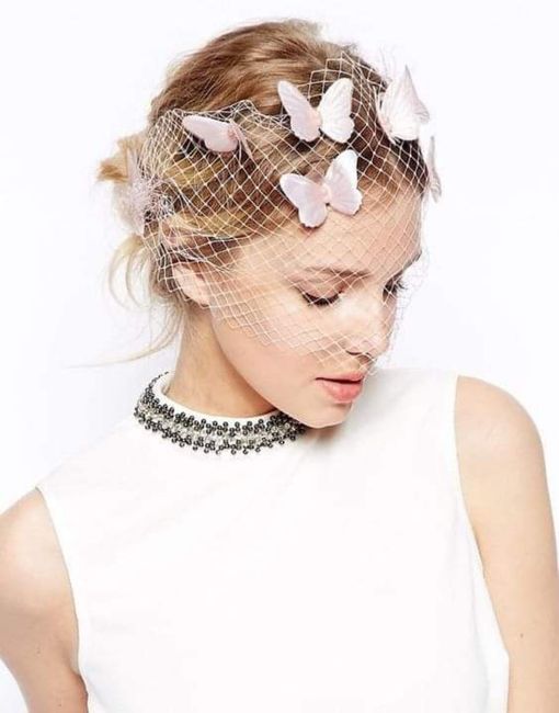 Enamórate de estos velos jaula o birdcage 4