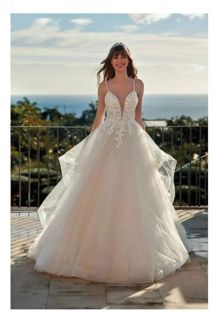 Vestidos colección 2023 Nicole Colet 11