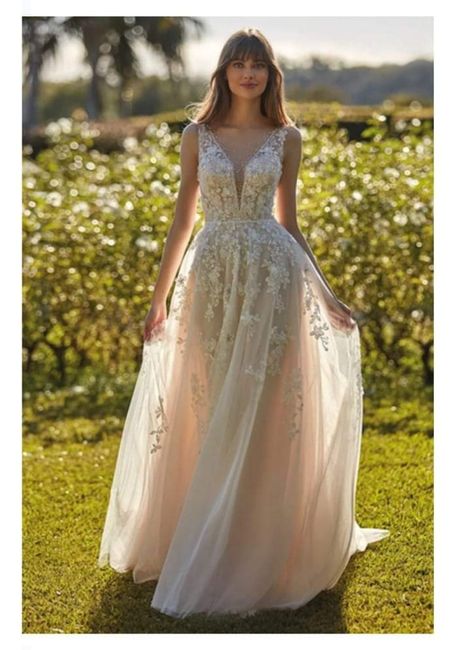 Vestidos colección 2023 Nicole Colet 15