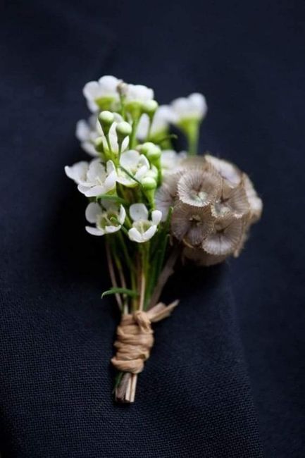 Flor scabiosa en tu boutonniere - 1