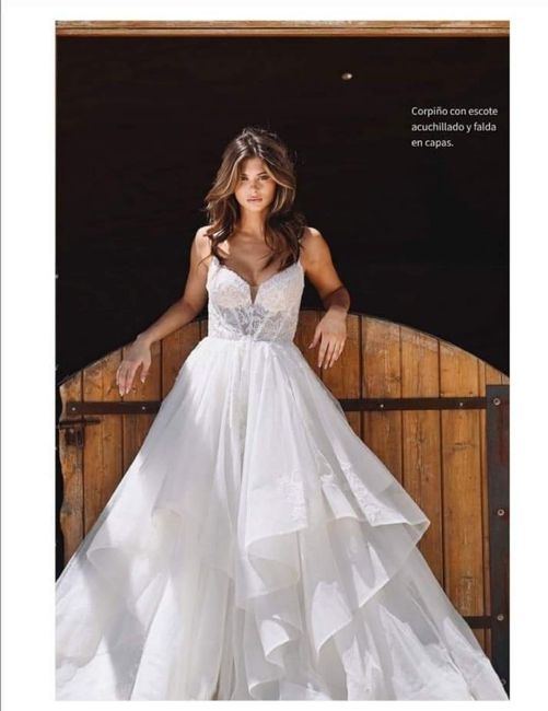 Vestidos colección 2023 Martina Liana - 1