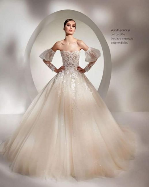 Vestidos colección 2023 Nicole Couture - 1