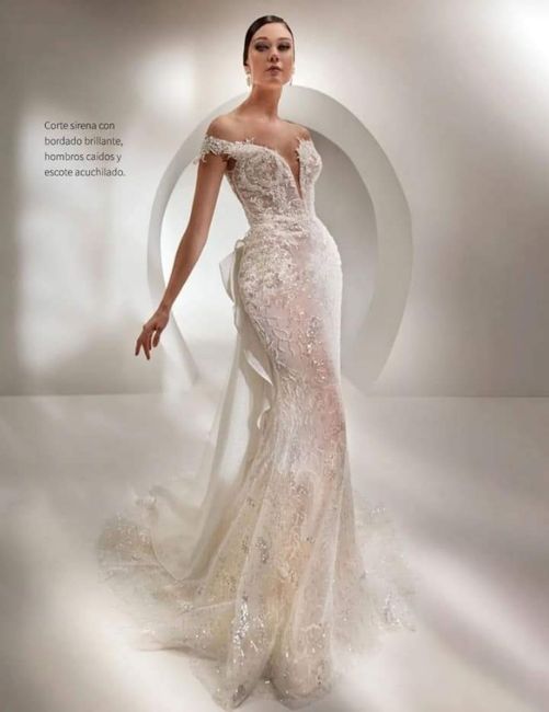 Vestidos colección 2023 Nicole Couture - 6