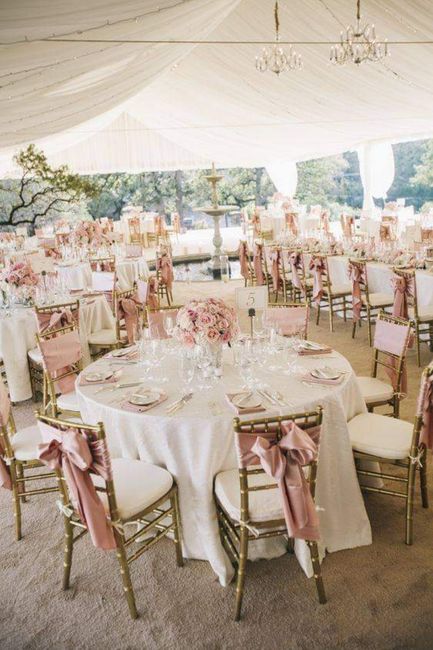 Blush wedding - 5