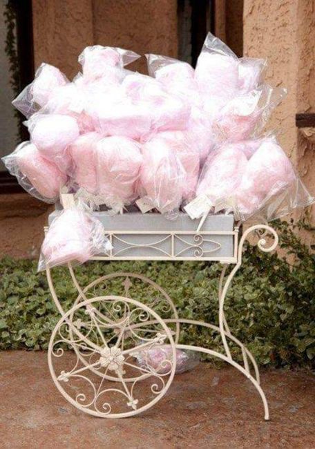 Blush wedding - 16