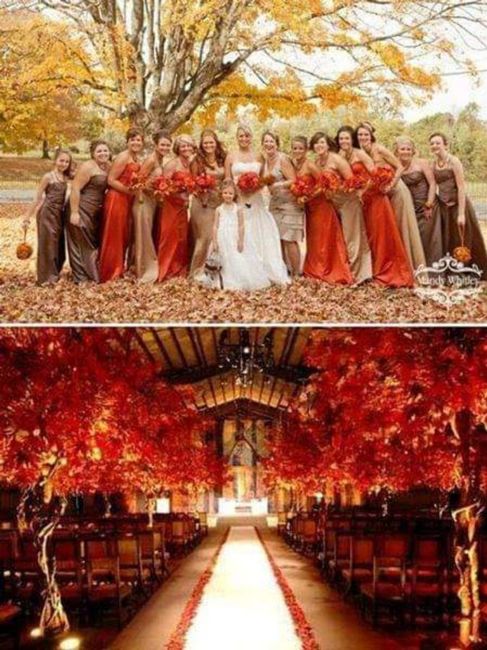 Otoño:boda en color naranja y chocolate 🧡🤎🍁 - 22