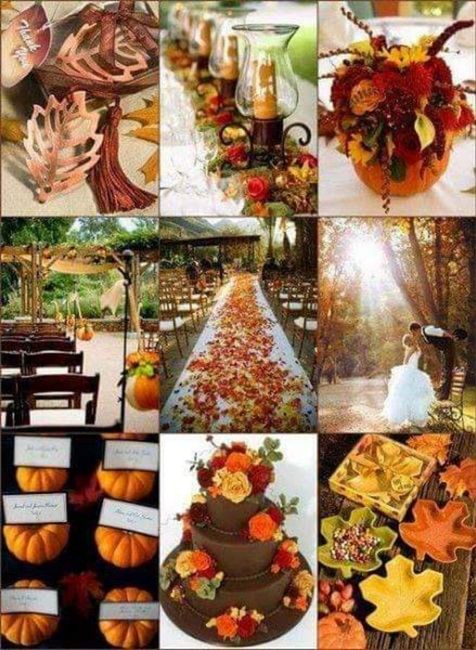 Otoño:boda en color naranja y chocolate 🧡🤎🍁 - 23
