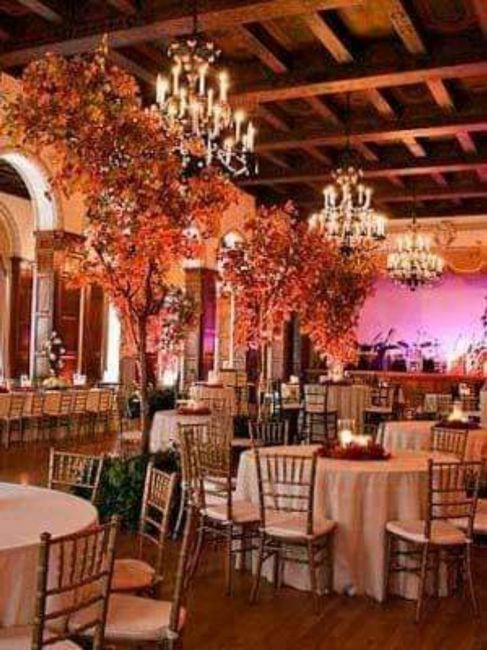 Otoño:boda en color naranja y chocolate 🧡🤎🍁 - 27