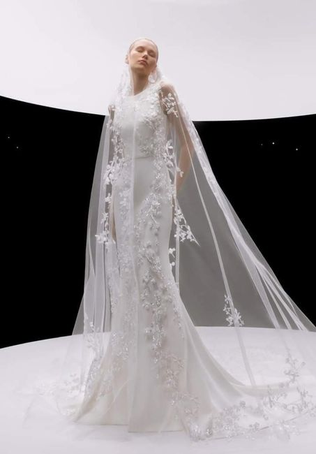 Algunos vestidos de la colección primavera -verano 2024 Elie Saab - 2