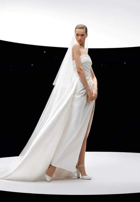 Algunos vestidos de la colección primavera -verano 2024 Elie Saab - 4