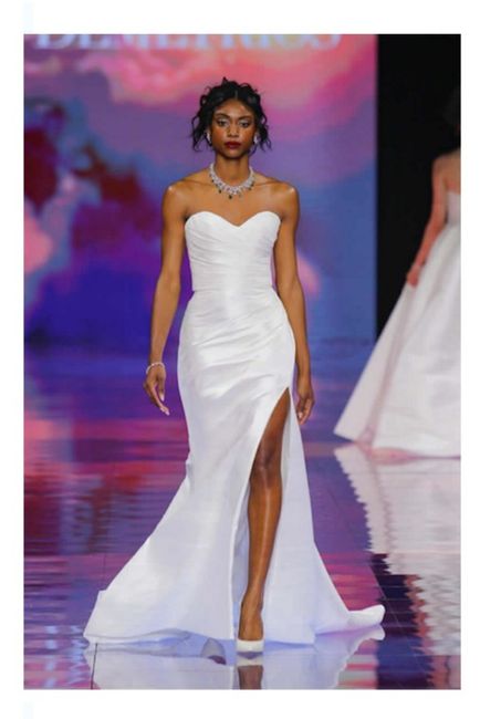 Vestidos colección Demetrios 2024 - 17