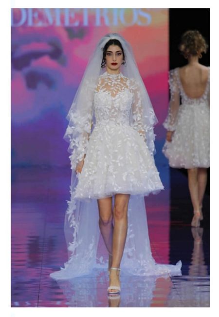 Vestidos colección Demetrios 2024 - 20