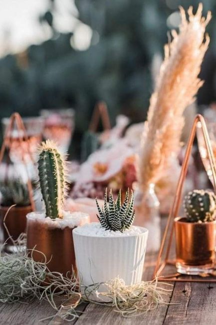 Boda con inspiración en el desierto 3