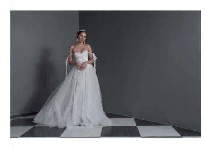 Vestidos colección otoño-invierno 2023 North Star by Anna Georgina 4