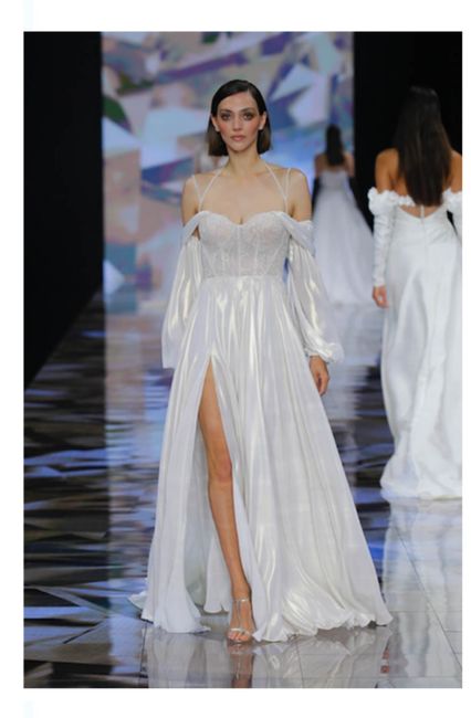 Vestidos colección 2024 Nicole Milano 4