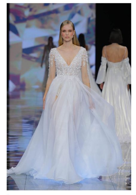 Vestidos colección 2024 Nicole Milano 5