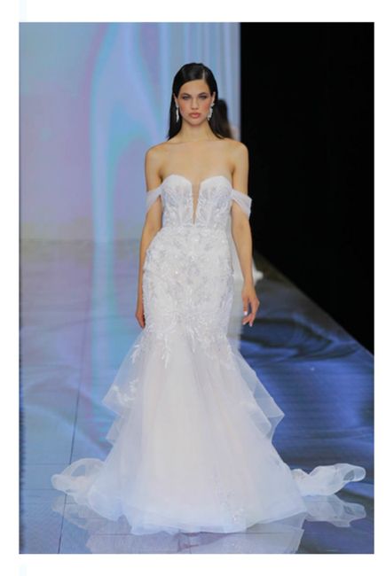 Vestidos colección 2024 Nicole Milano 18