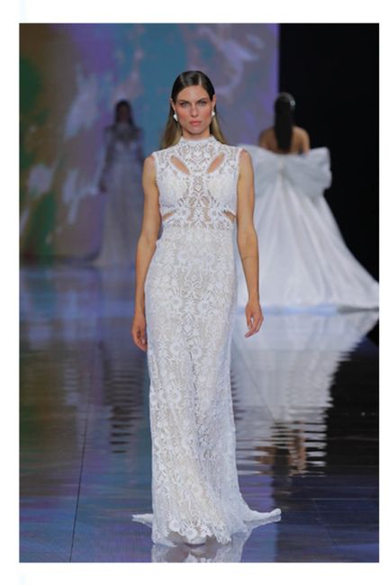 Vestidos colección 2024 Nicole Milano 24