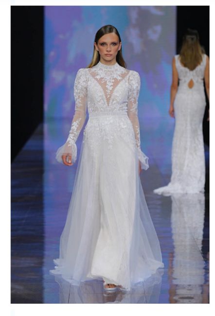 Vestidos colección 2024 Nicole Milano 25