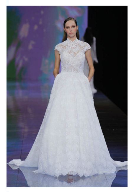 Vestidos colección 2024 Nicole Milano 28