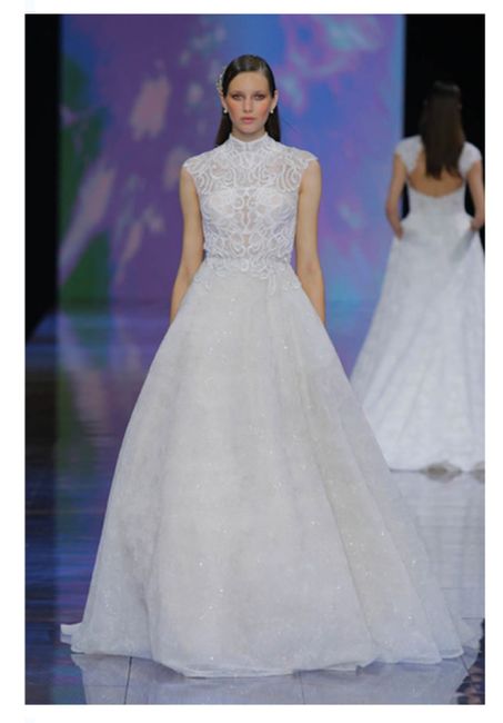 Vestidos colección 2024 Nicole Milano 29