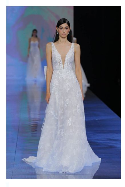 Vestidos colección 2024 Nicole Milano 30
