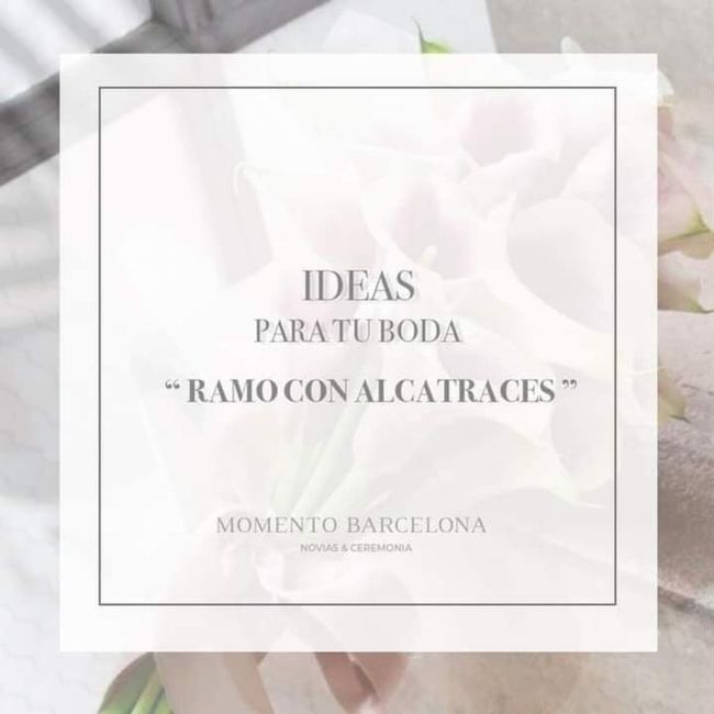 Tu ramo con alcatraces 1