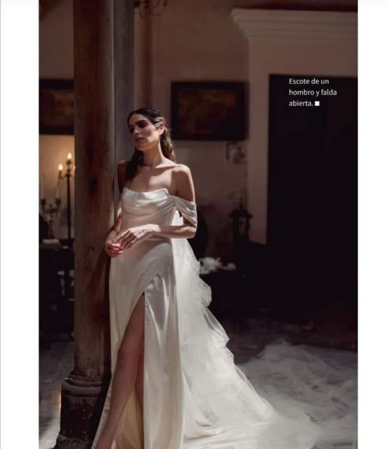 Vestidos colección primavera -verano 2024 Nadia Manjarrez 9