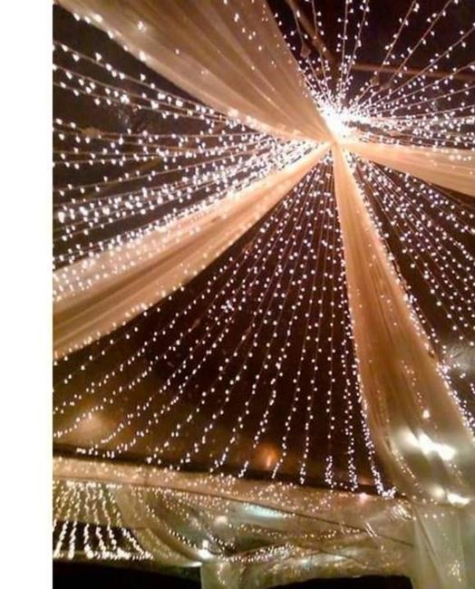 Hermosas carpas - 5