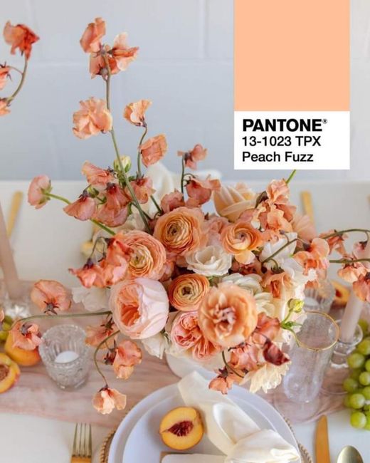 y el color Pantone del año 2024 es...peach Fuzz 1