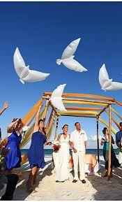 Liberar mariposas y/o palomas en la boda, ¿qué te parece? - 2