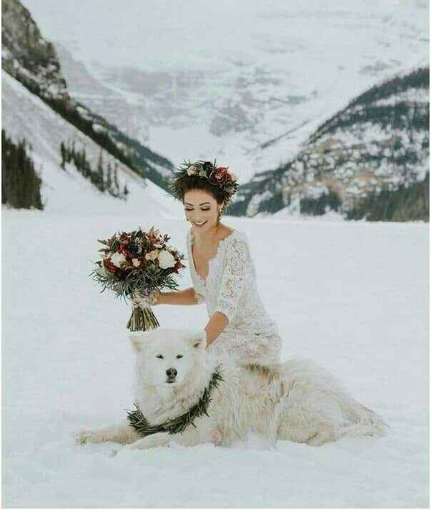 Fotos de novios en la nieve 2 17