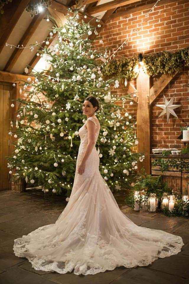 Pinos como decoración 🌲🌲 5