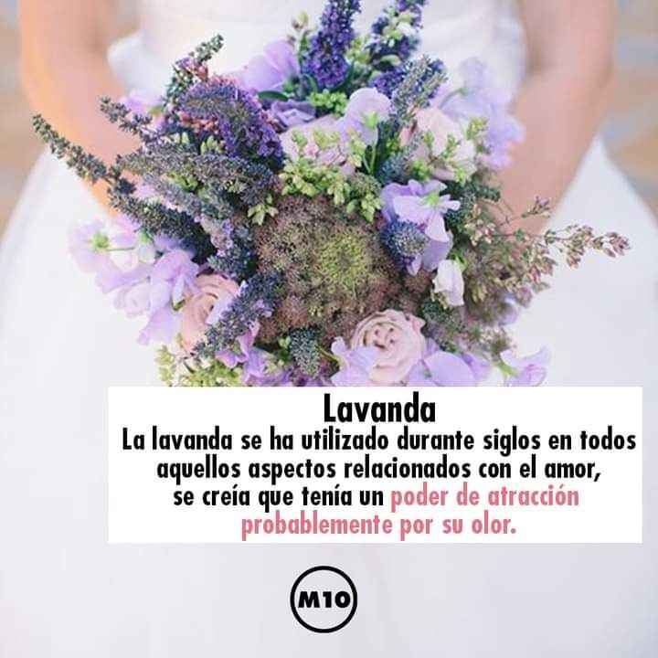 Elige el ramo según el significado de las flores 8