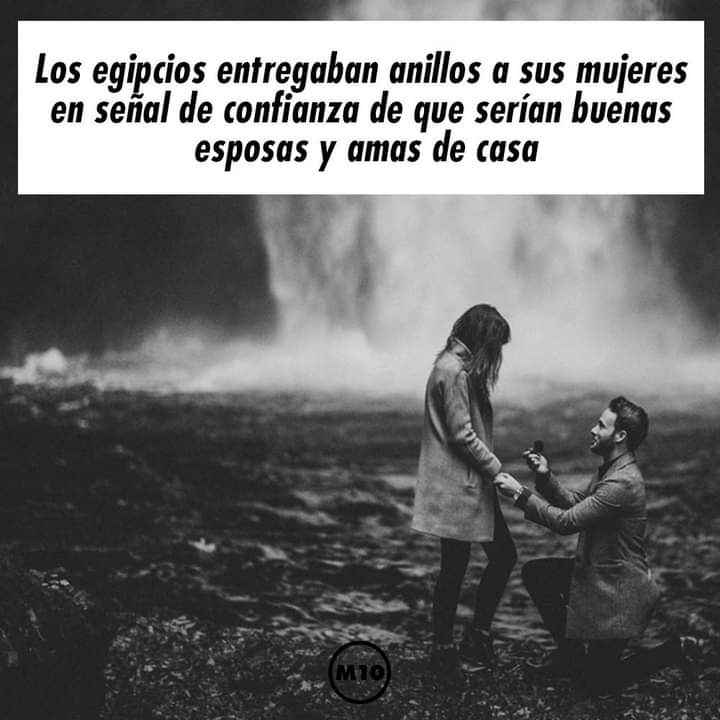 Una hermosa historia: el anillo de compromiso 💍 7