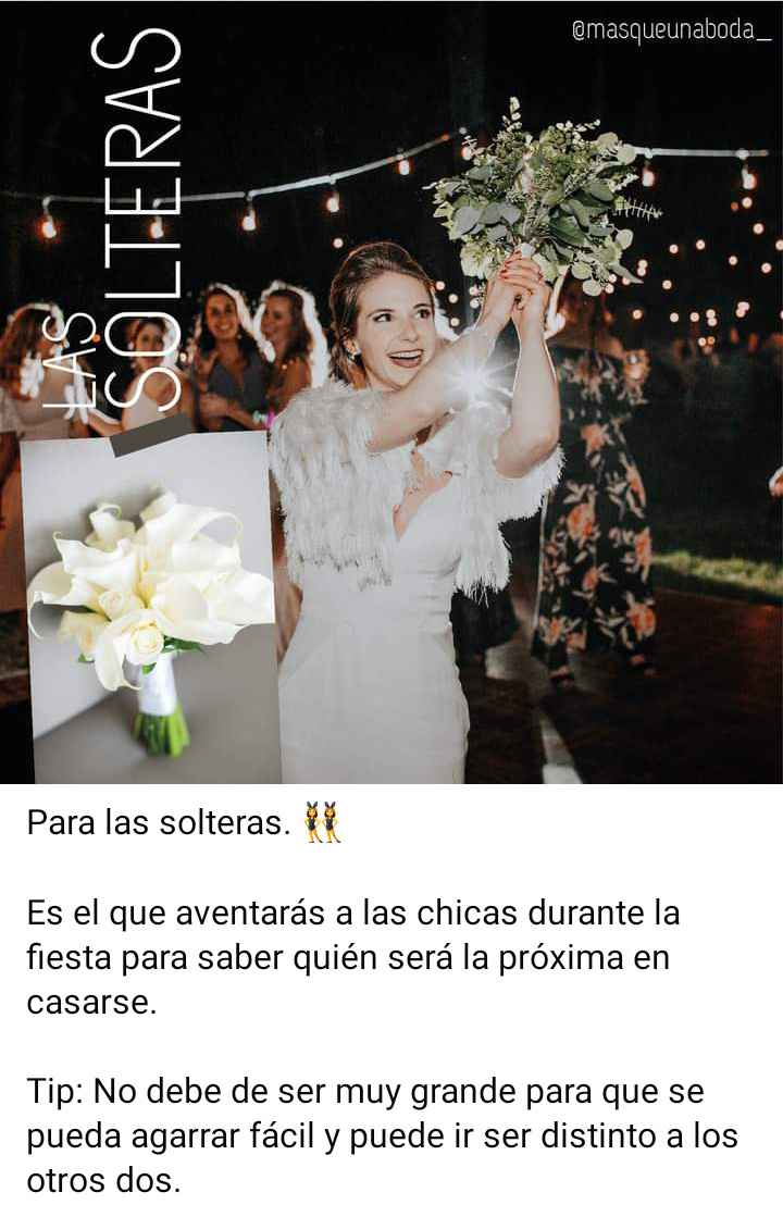 Conoce cuáles son los 3 ramos... 2