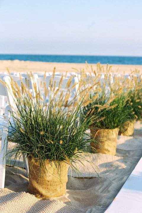 4 ideas para decorar una ceremonia en la playa 🌴 2