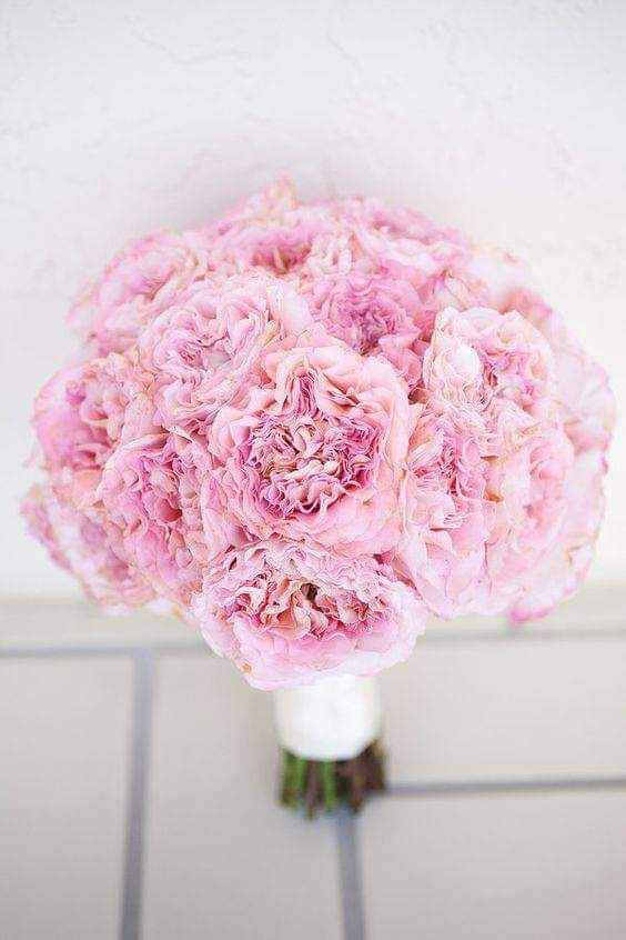 Ramos con acentos de color rosa pastel 1