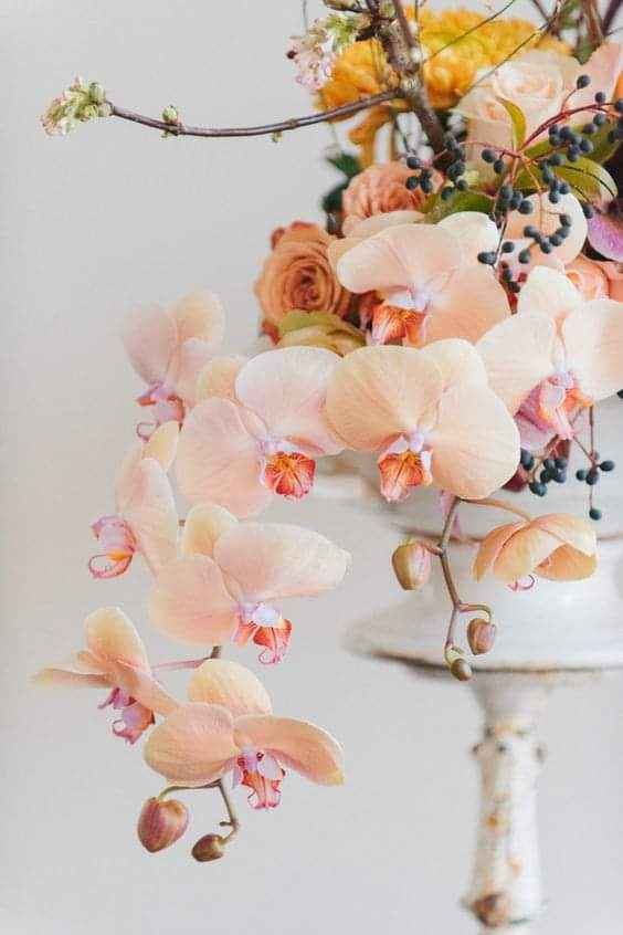 Decoración con orquídeas en tonos blush 2