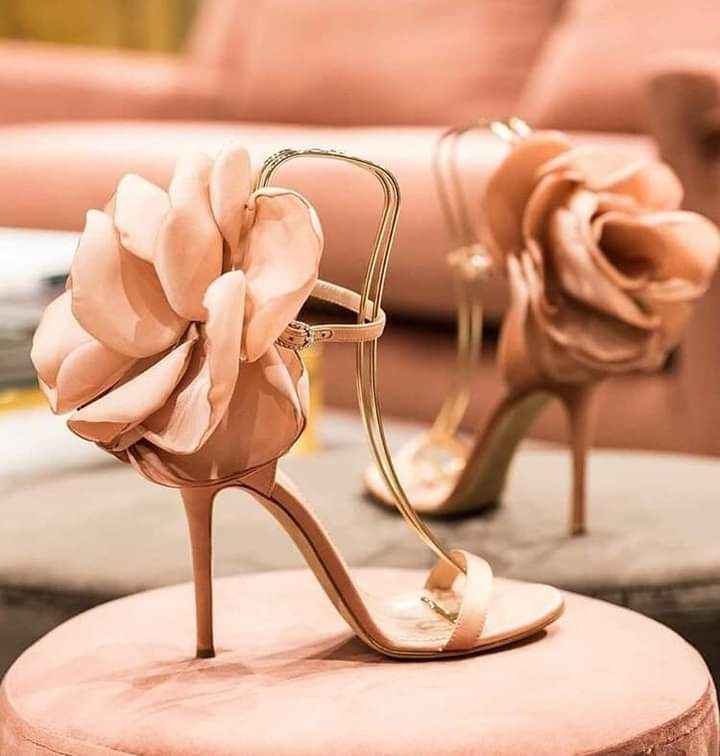 Zapatos muy coquetos 21